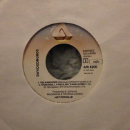 David Edmunds - The wanderer / From small things, big things come / Your true love